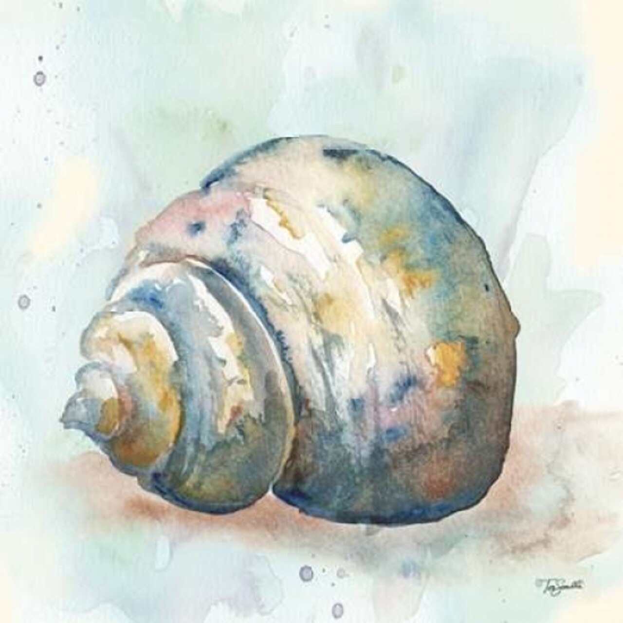 Watercolor Shells IV Poster Print by Tre Sorelle Studios - Item # VARPDXRB9494TS